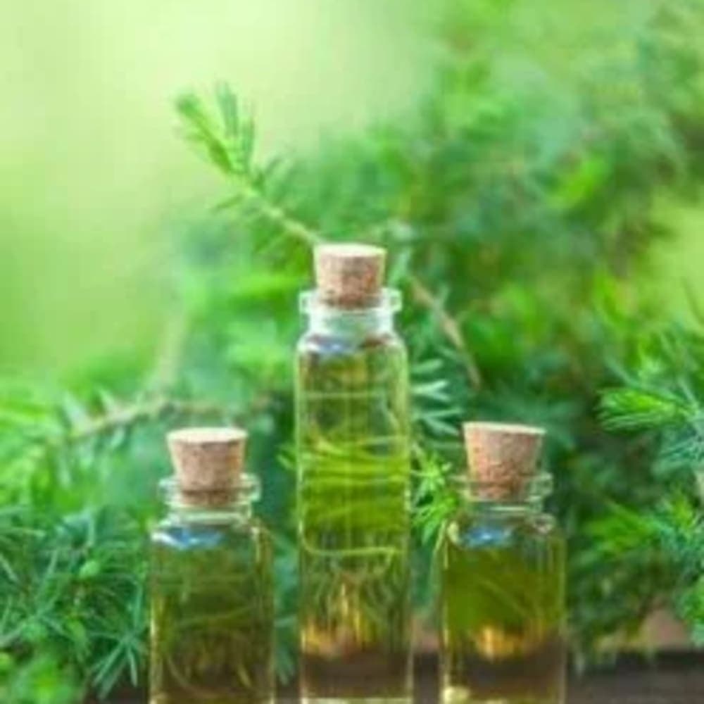 Tea Tree Essential Oil