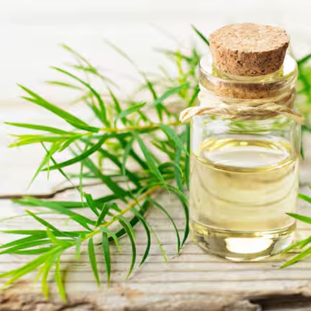 Tea Tree Extract