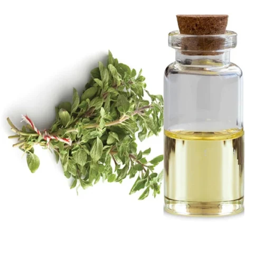 Sweet Marjoram Extract