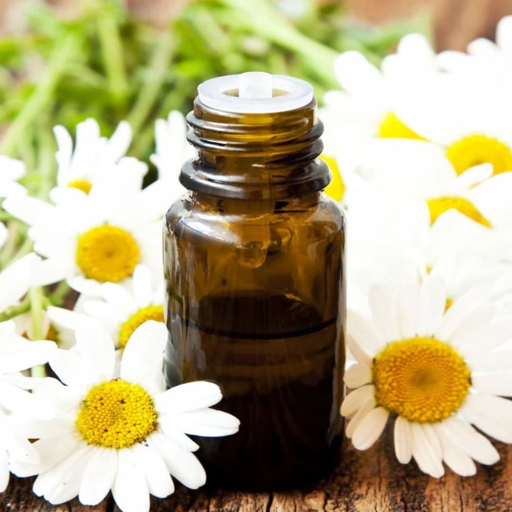 German Chamomile Essential Oil