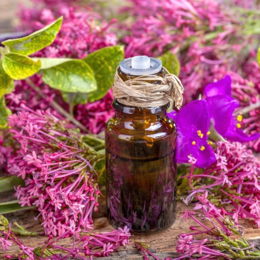 Clary Sage Essential Oil