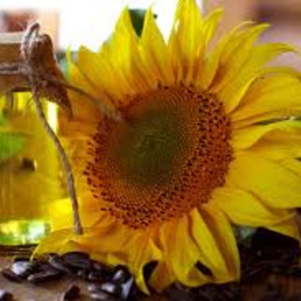 Sunflower Oil (Cosmetics Grade Cold Pressed) 1 Litre