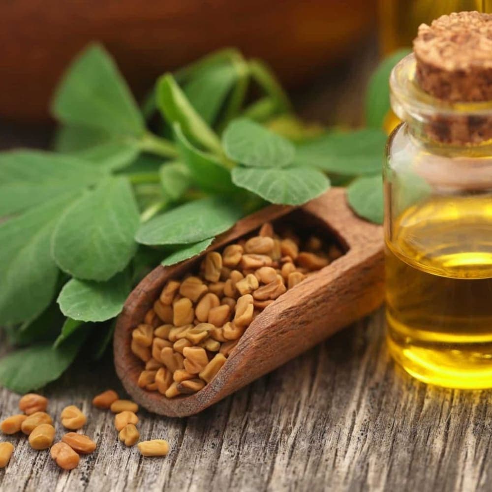 Fenugreek Extract